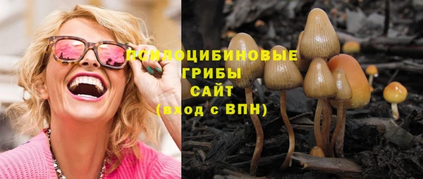 героин Алексин