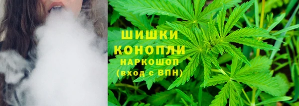 молекула духа Алзамай
