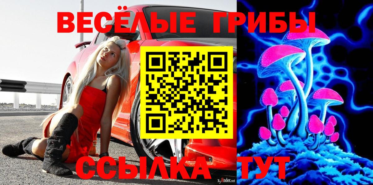 Галлюциногенные грибы Psilocybe Карасук